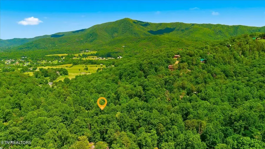 3961 Ole Smoky Way, Sevierville, TN 37862 - #2