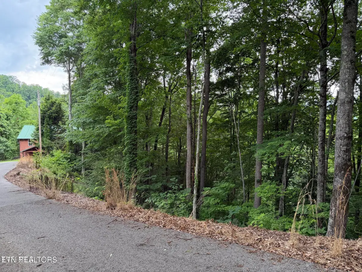 TBD High Top Loop, Sevierville, TN 37862 - #1