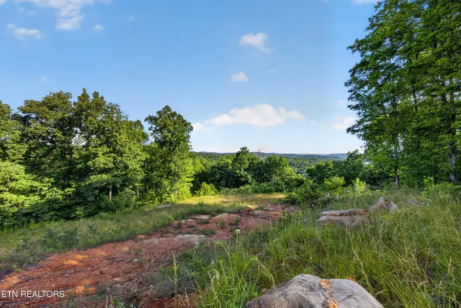 2.26 AC Hidden Cove Lane, Allons, TN 38541 - #2