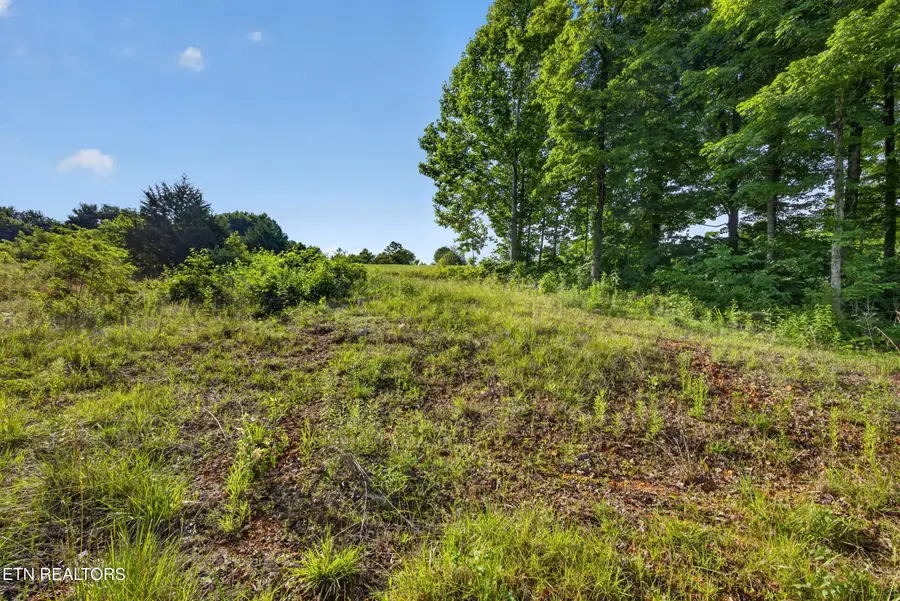 2.26 AC Hidden Cove Lane, Allons, TN 38541 - #3