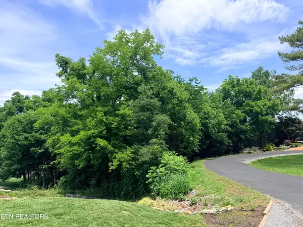 112 Alichanoska Lane, Loudon, TN 37774