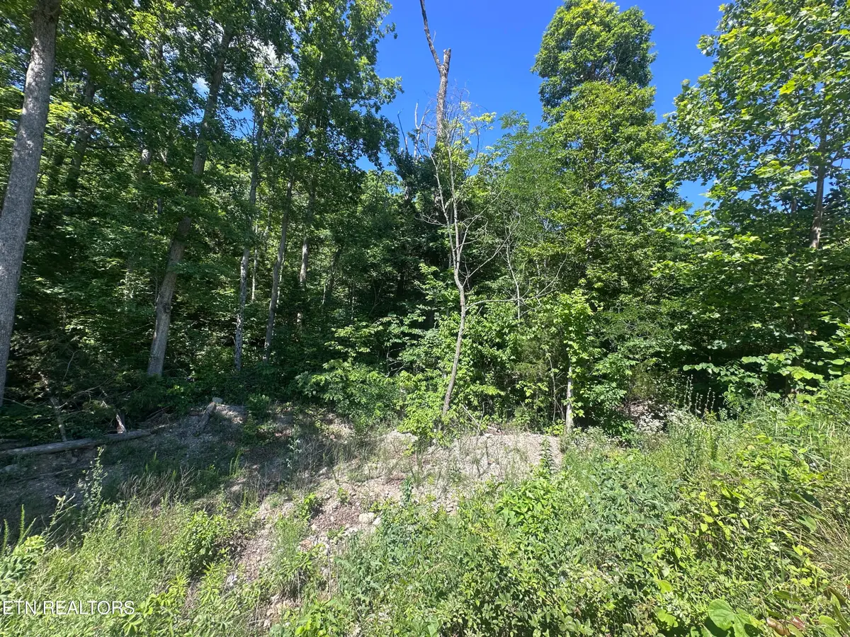 1020 Tomahawk Rd, Jamestown, TN 38556 - #1