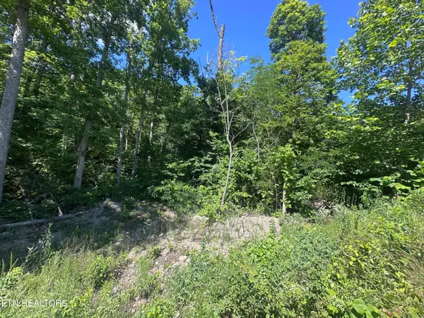 1020 Tomahawk Rd, Jamestown, TN 38556