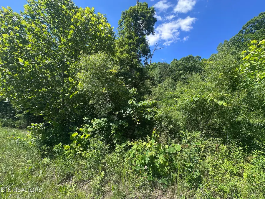 1020 Tomahawk Rd, Jamestown, TN 38556 - #2