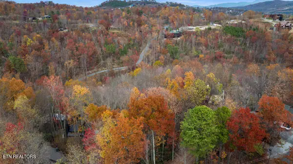 887 Holly Branch Rd, Gatlinburg, TN 37738 - #1