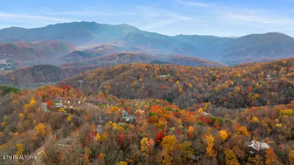 887 Holly Branch Rd, Gatlinburg, TN 37738 - #3