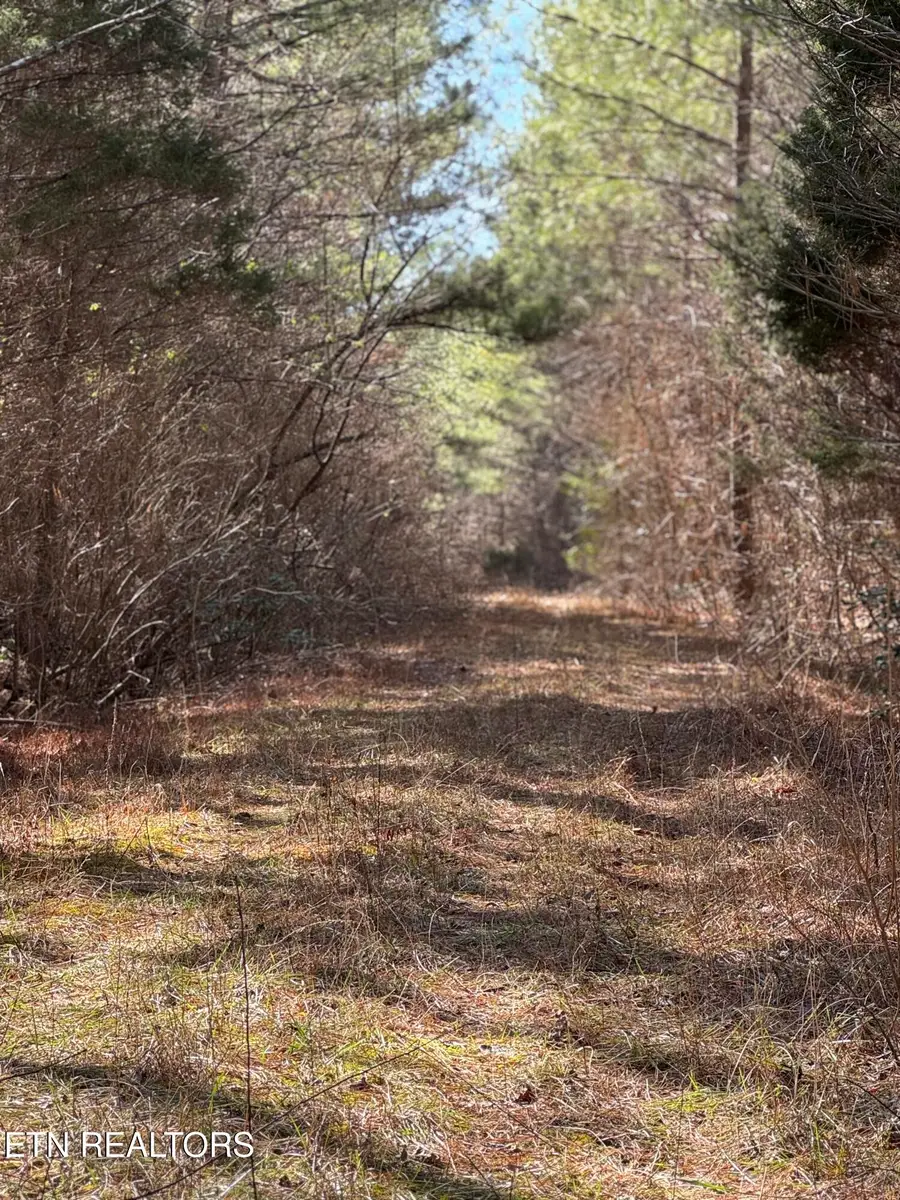 Sam Summers Rd, Rockwood, TN 37854 - #3