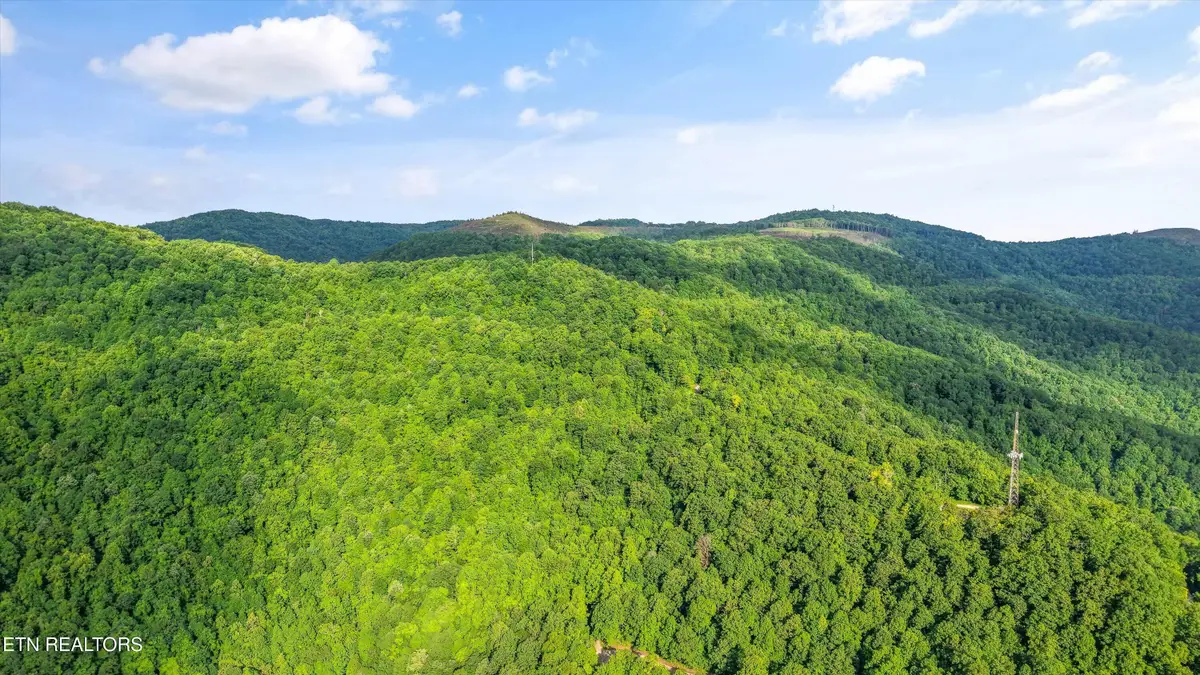 Mountain Rd, Caryville, TN 37714 - #1