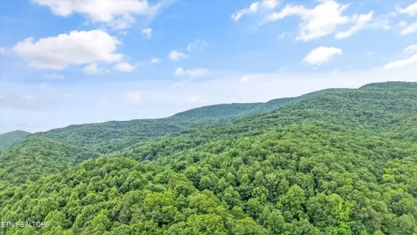 Mountain Rd, Caryville, TN 37714