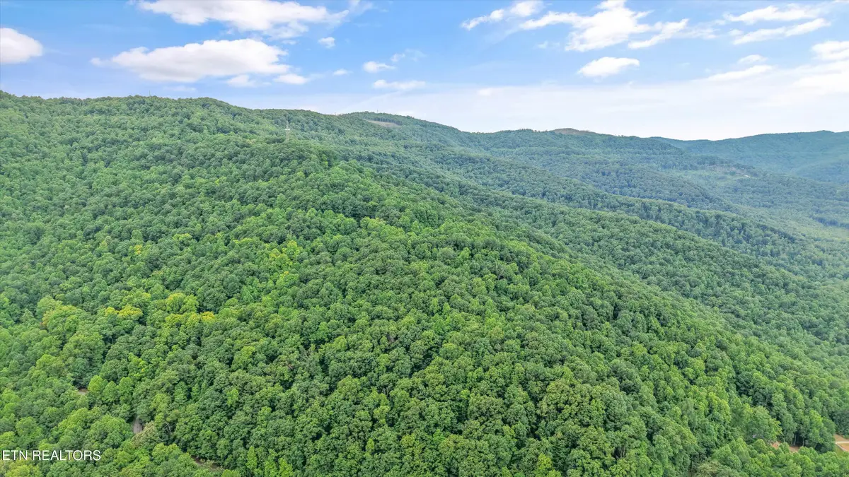Mountain Rd, Caryville, TN 37714 - #1