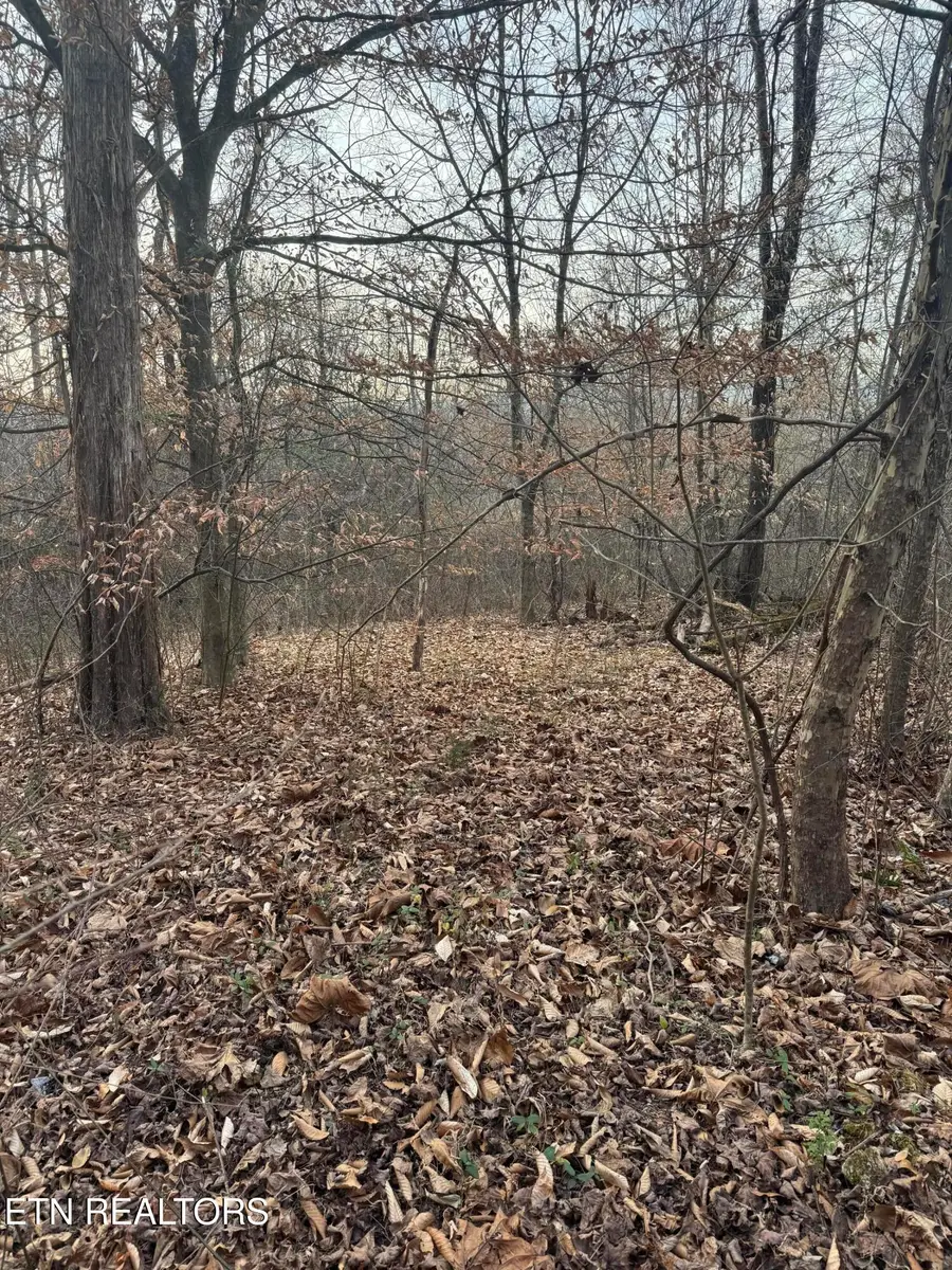 247 Mahoney Rd, Oliver Springs, TN 37840 - #3