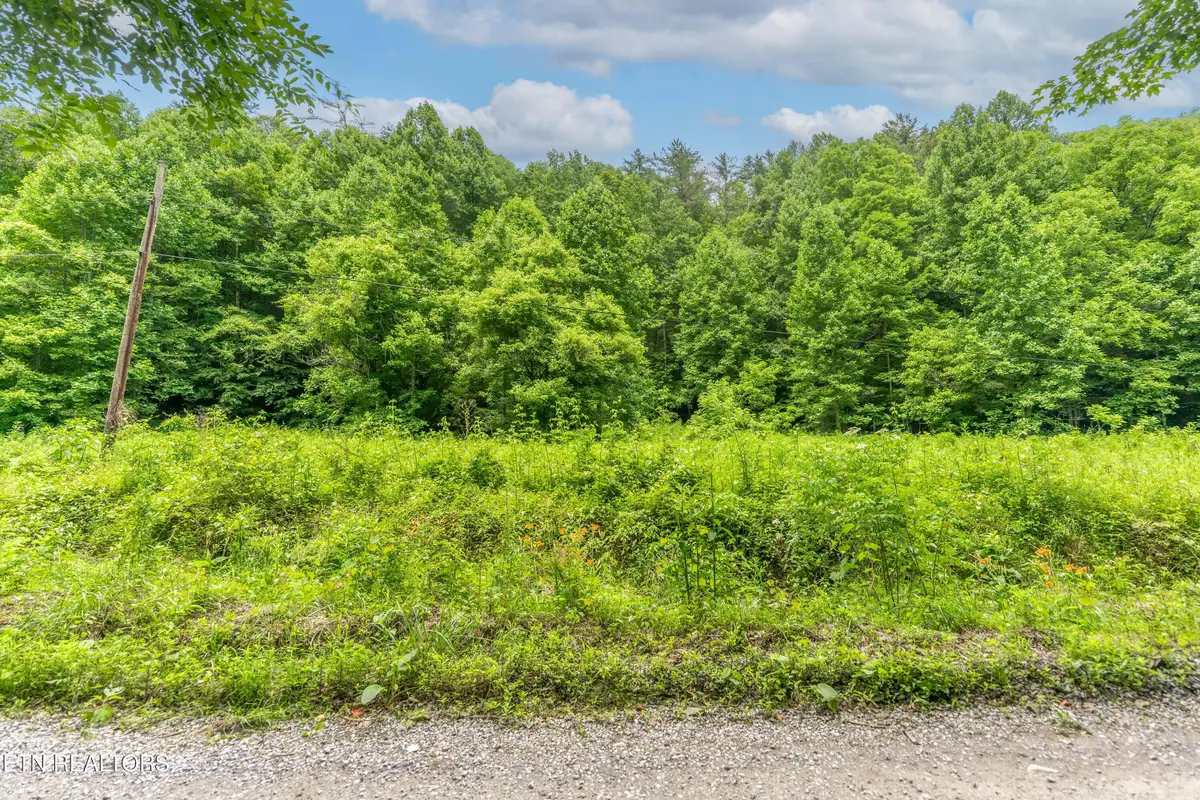 Johns Creek Rd, Del Rio, TN 37727 - #1