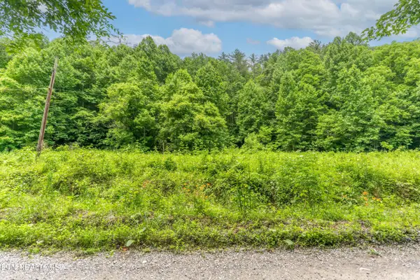 Johns Creek Rd, Del Rio, TN 37727