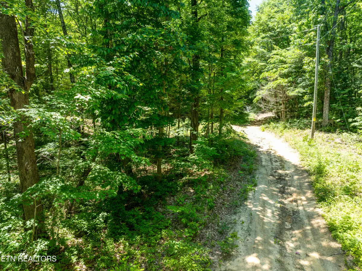 5941 Bobcat Tr, Tallassee, TN 37878 - #1