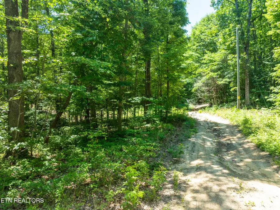 5941 Bobcat Tr, Tallassee, TN 37878 - #2