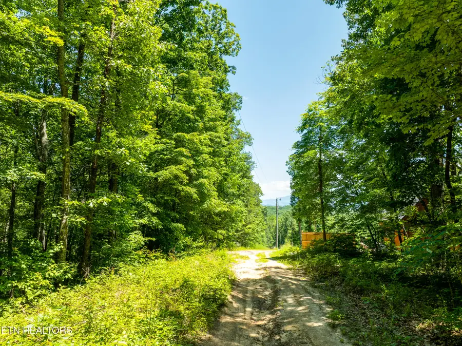 5941 Bobcat Tr, Tallassee, TN 37878 - #3