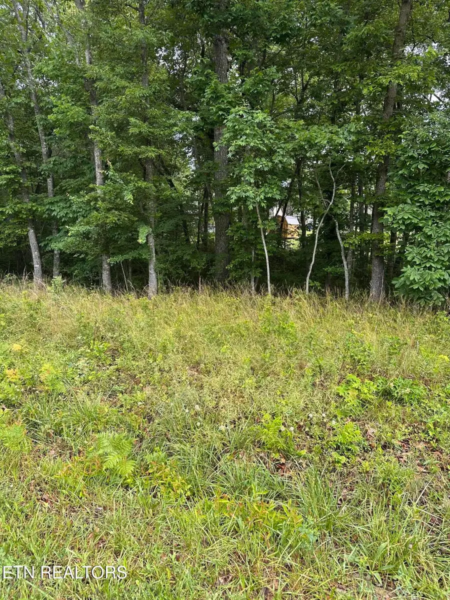 2020 Piute Rd, Crossville, TN 38572 - #2