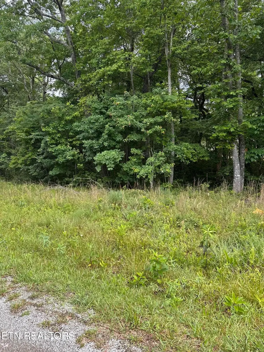 2020 Piute Rd, Crossville, TN 38572 - #3