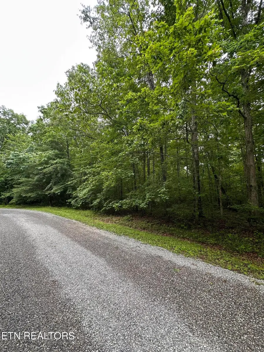 935 Veho Circle, Crossville, TN 38572 - #3