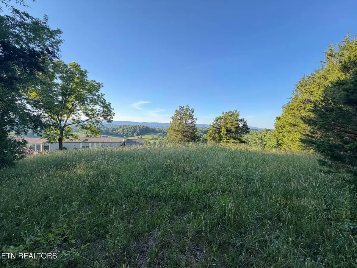 Hill Crest Drive, Tazewell, TN 37879 - #1
