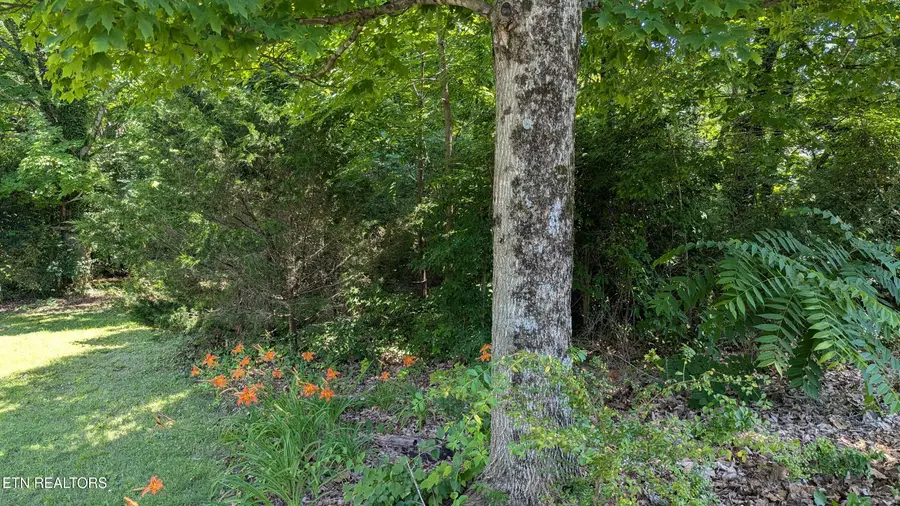 Cedar Lane, Knoxville, TN 37918 - #3