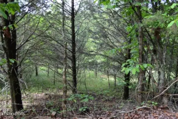 9ac Circle Road Rd, Burkesville, KY 42717