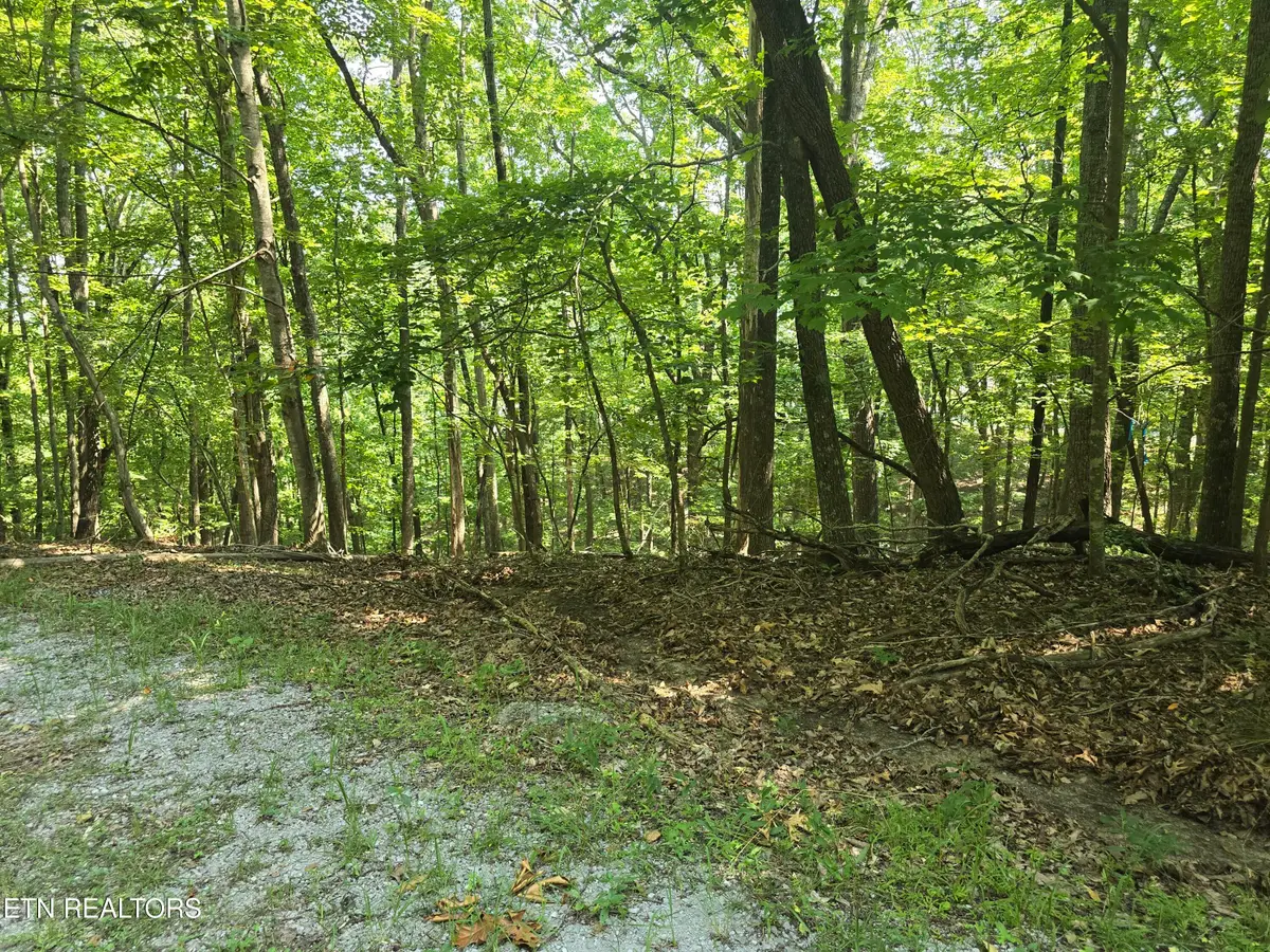 16 Trentwood Terrace, Crossville, TN 38558 - #1
