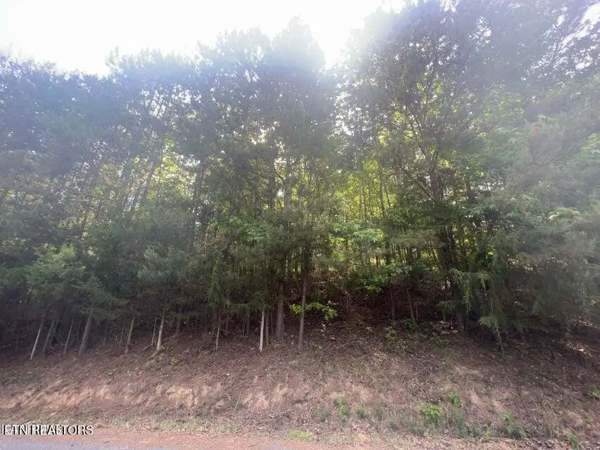 123 Hilty Head Lane, Lafollette, TN 37766 - #1