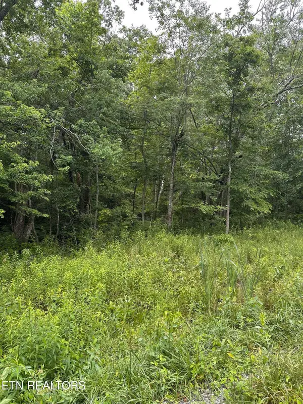 3119 Crow Drive, Crossville, TN 38572