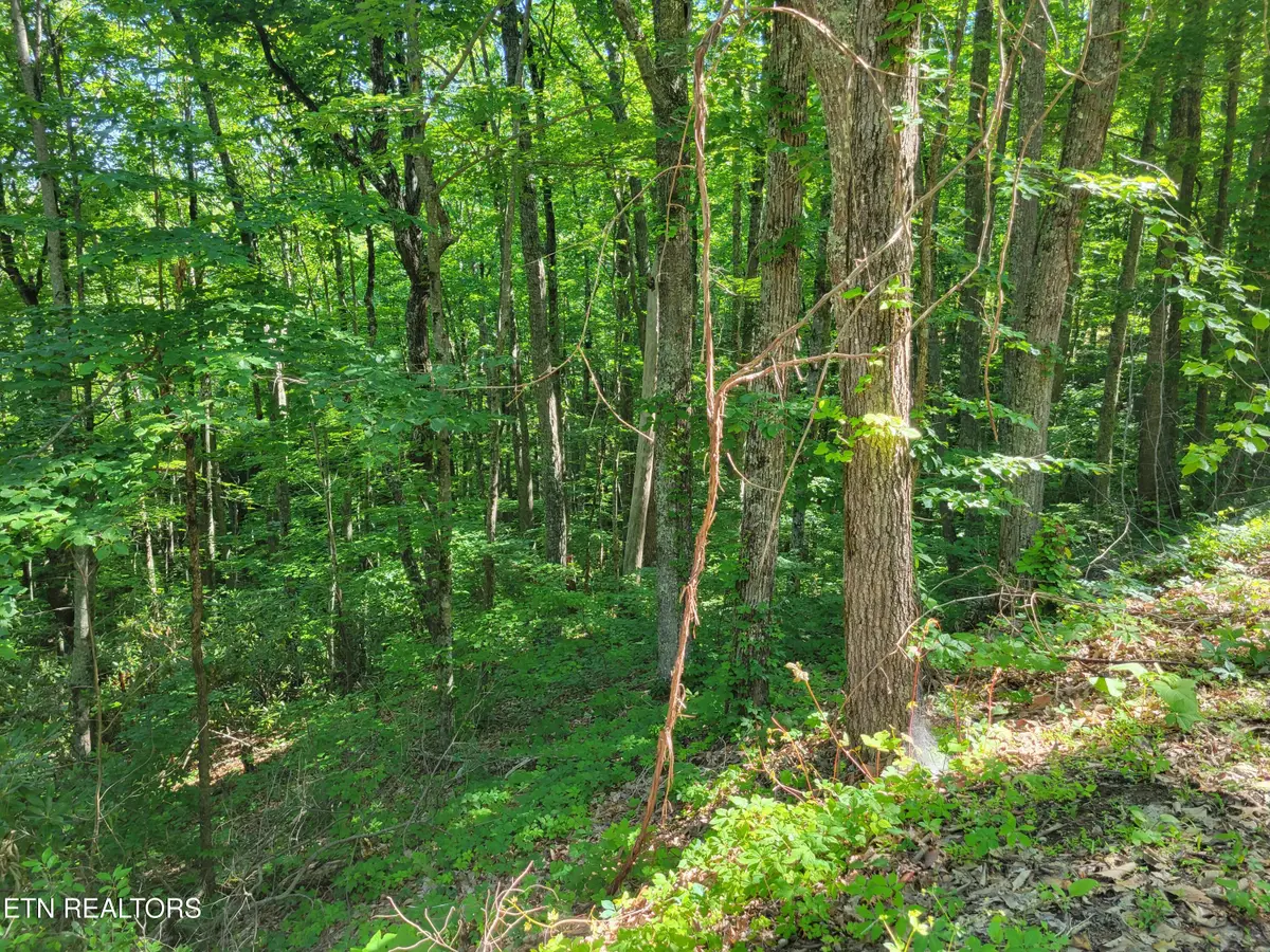 Lot 20 Sunset Drive, Sevierville, TN 37876 - #1