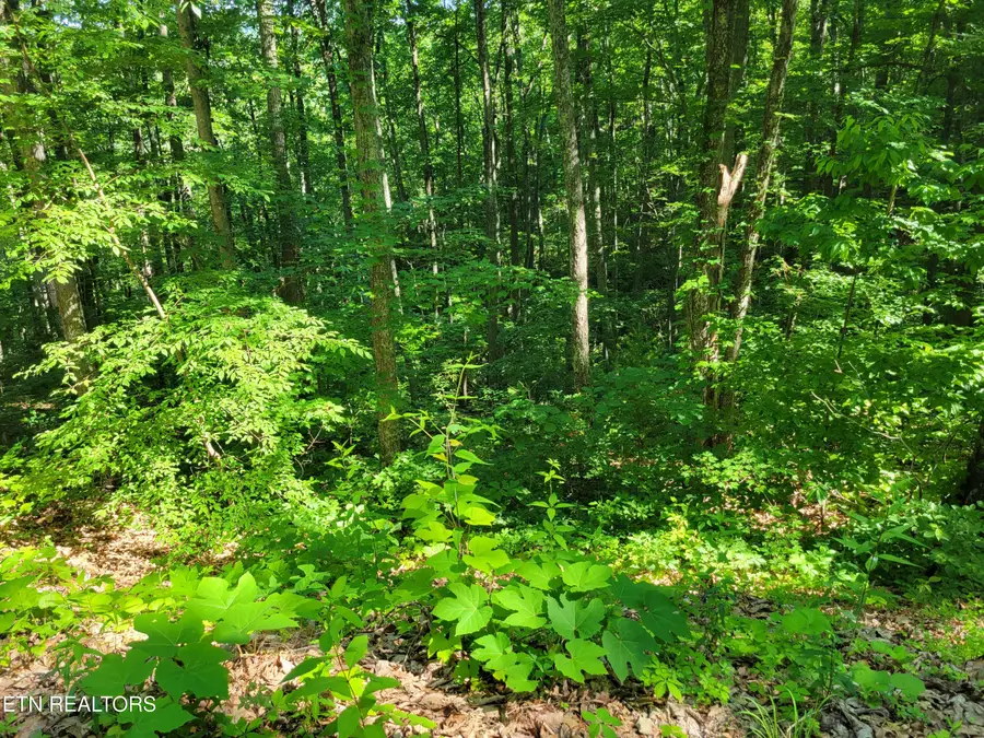 Lot 20 Sunset Drive, Sevierville, TN 37876 - #3
