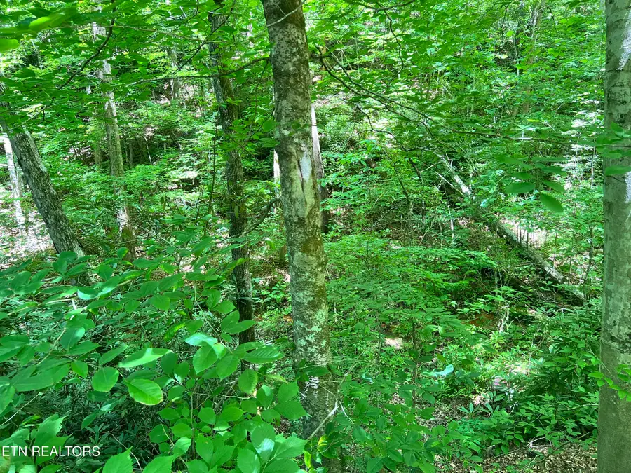 Fir Drive #Lot 110, Sevierville, TN 37876 - #2