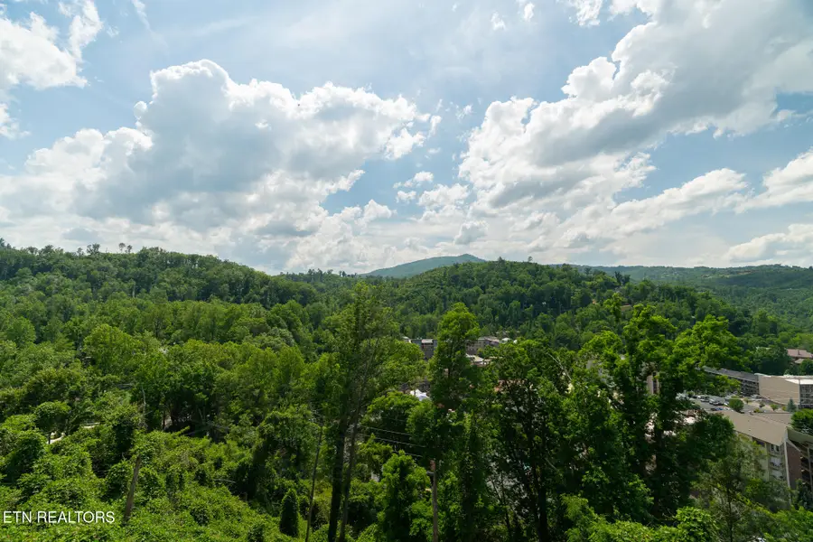 748 Widows Knob Rd, Gatlinburg, TN 37738 - #3