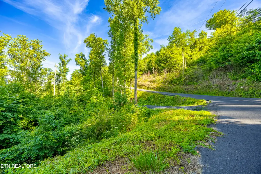 628 Loop Rd, Gatlinburg, TN 37738 - #3