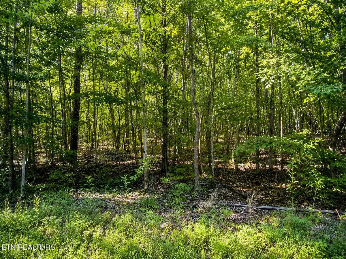Lot 5 Keylon Hollow Road, Ten Mile, TN 37880 - #1