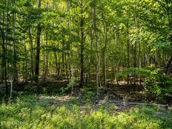Lot 5 Keylon Hollow Road, Ten Mile, TN 37880