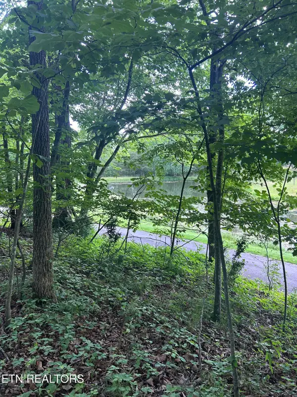 26 Rolling Green Court, Fairfield Glade, TN 38558