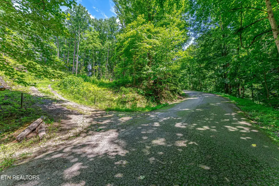 229 Sonshine Ridge Rd, Cosby, TN 37722 - #2
