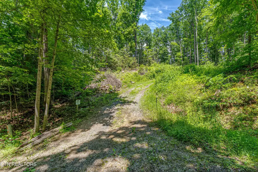 229 Sonshine Ridge Rd, Cosby, TN 37722 - #3