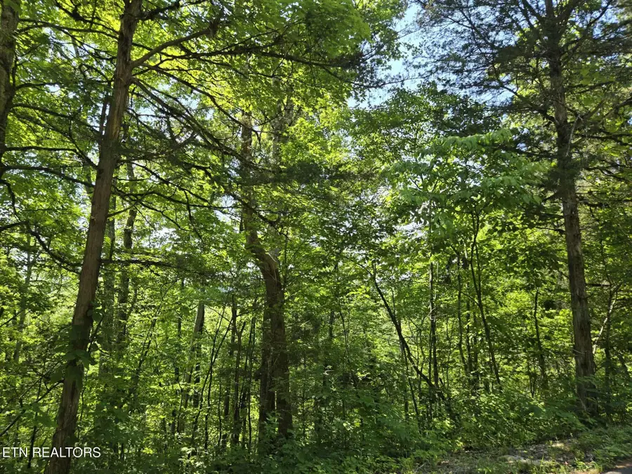 Log Mountain Rd, Washburn, TN 37888 - #2