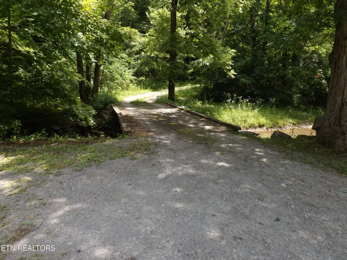 TBD Snake Hollow Rd, Sneedville, TN 37869 - #1