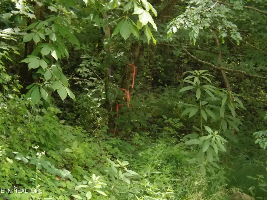 TBD Snake Hollow Rd, Sneedville, TN 37869 - #3
