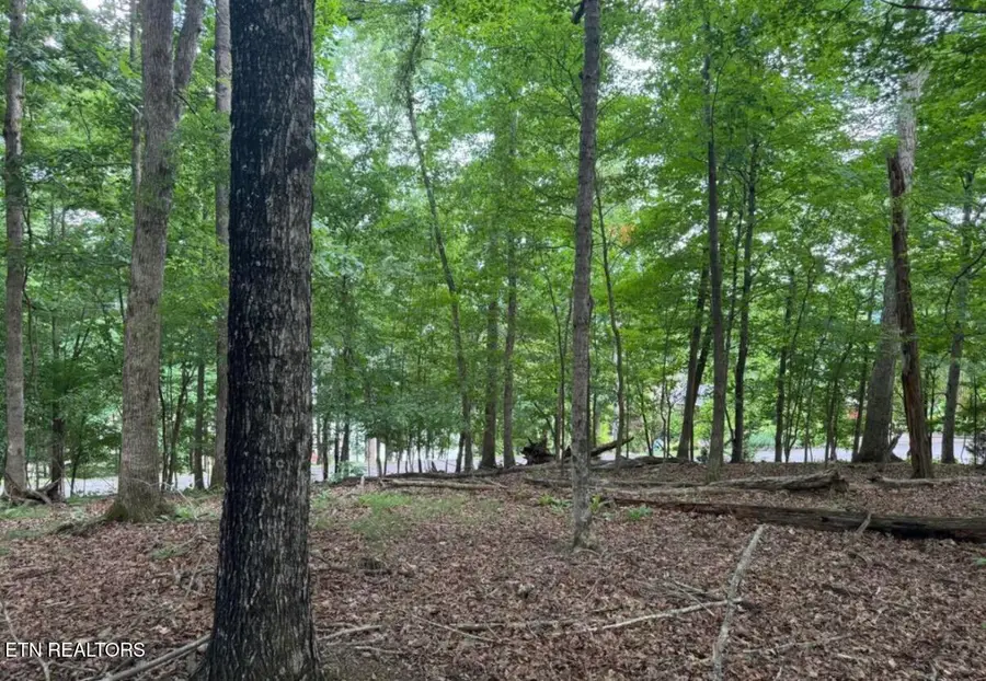 Kahiti Court, Mooresburg, TN 37811 - #3