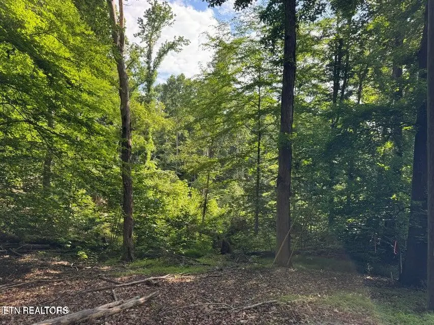 2109 Kahiti Court, Mooresburg, TN 37811 - #3