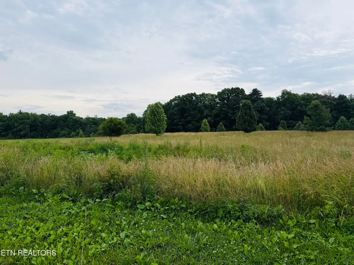 9.8 Acres Tyler Tr, Jamestown, TN 38556 - #1