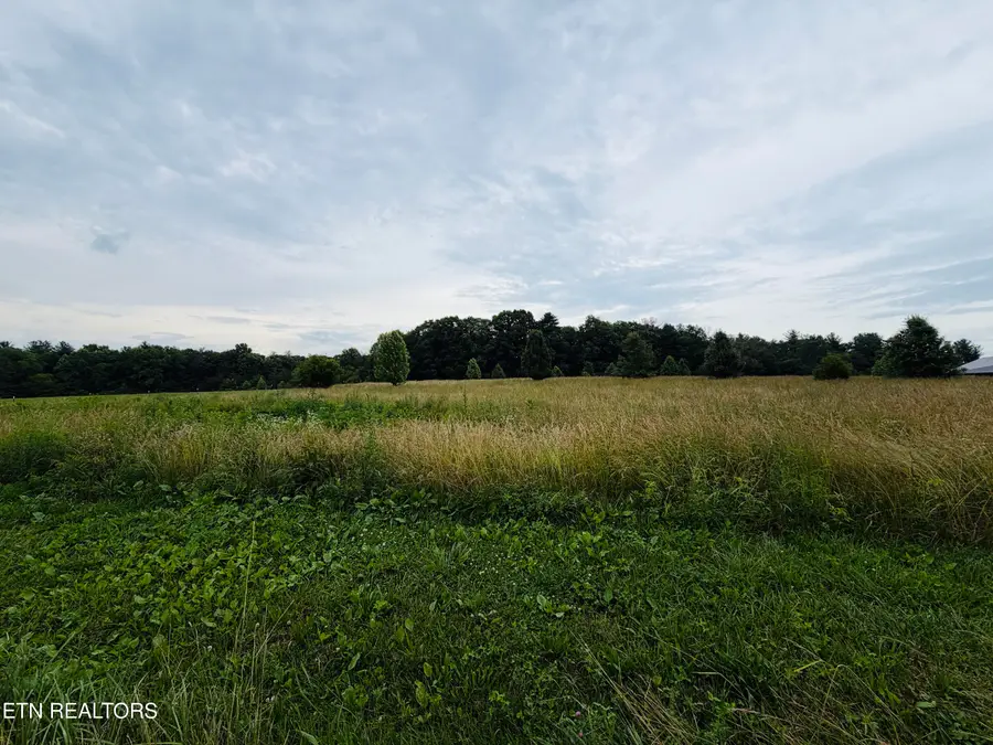 9.8 Acres Tyler Tr, Jamestown, TN 38556 - #2