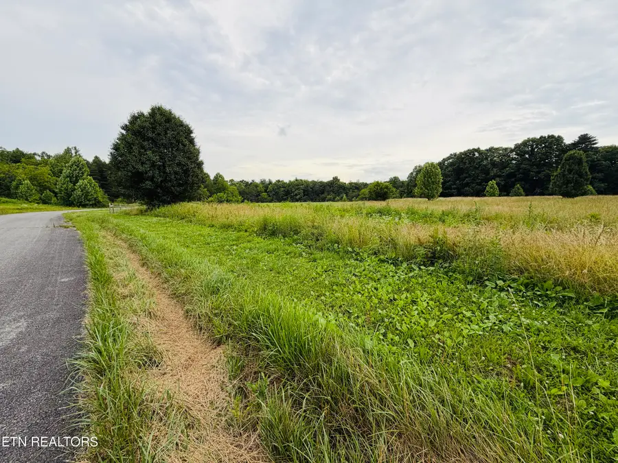 9.8 Acres Tyler Tr, Jamestown, TN 38556 - #3