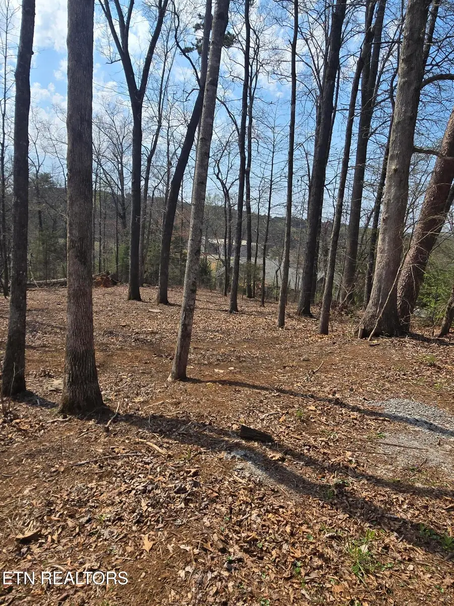 Tomahawk Tr, Maryville, TN 37801 - #3