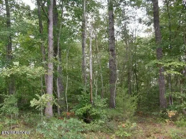 119 Flathead Circle, Crossville, TN 38572 - #2