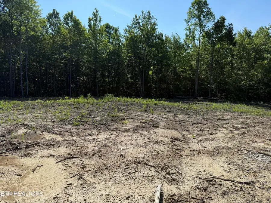 969 Lewallen Rd, Sunbright, TN 37872 - #3